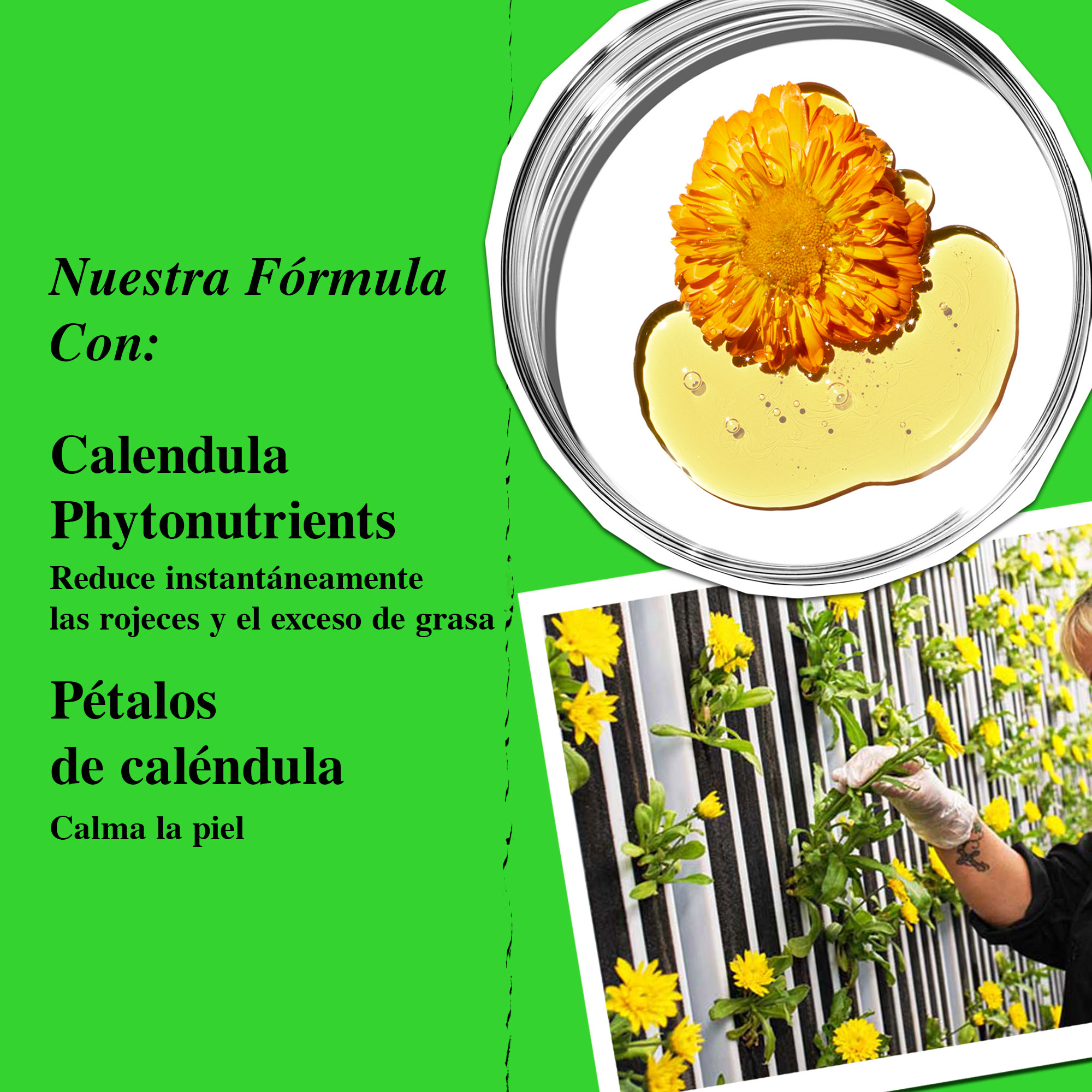 WINTER SKIN SOOTHERS CALENDULA DUO (SET DE CUIDADO DE LA PIEL)
